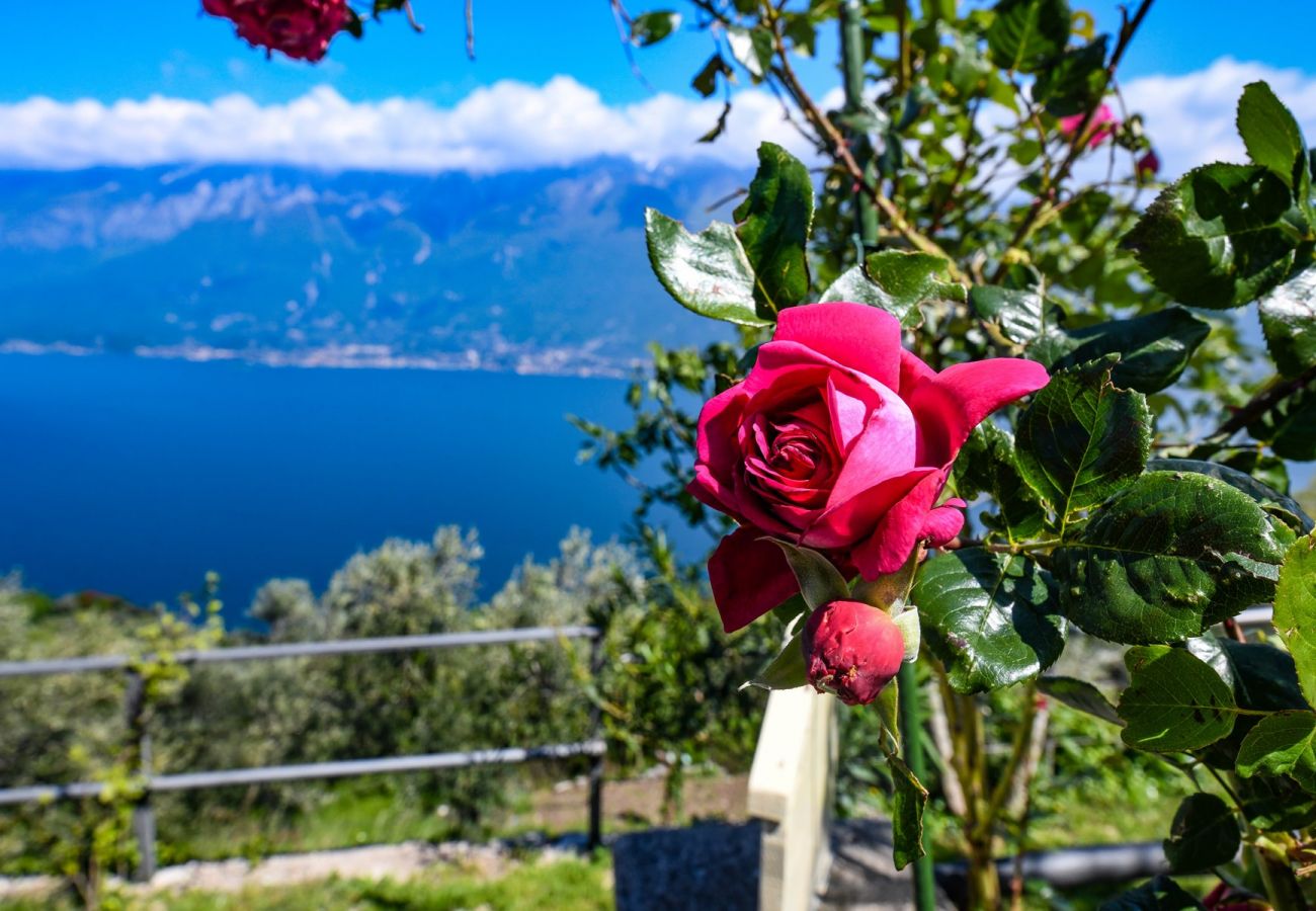 Appartamento a Tignale - Albicocca: vista lago, natura e relax