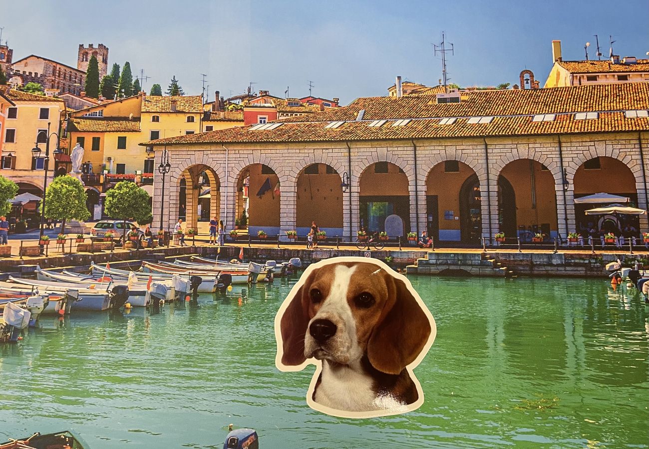 Appartamento a Desenzano del Garda - DesenzanoLoft: Eridania  CIN:IT017092C2NJLV5GCY