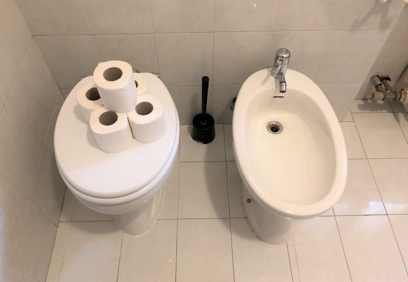 Ferienwohnung in Desenzano del Garda - Desenzanoloft BARDOLINO 1 