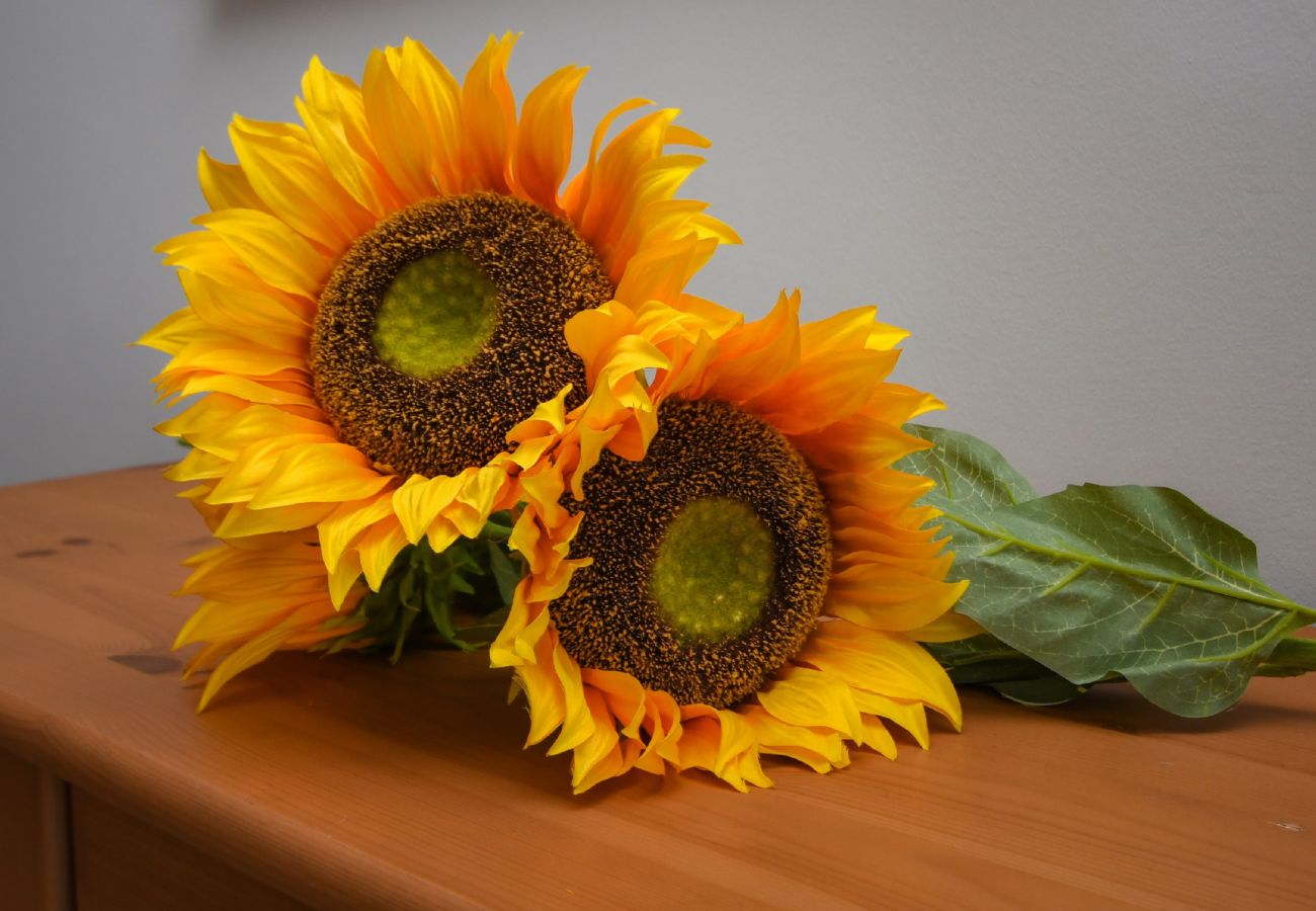 Ferienwohnung in Desenzano del Garda - Desenzanoloft Il Girasole del Lago