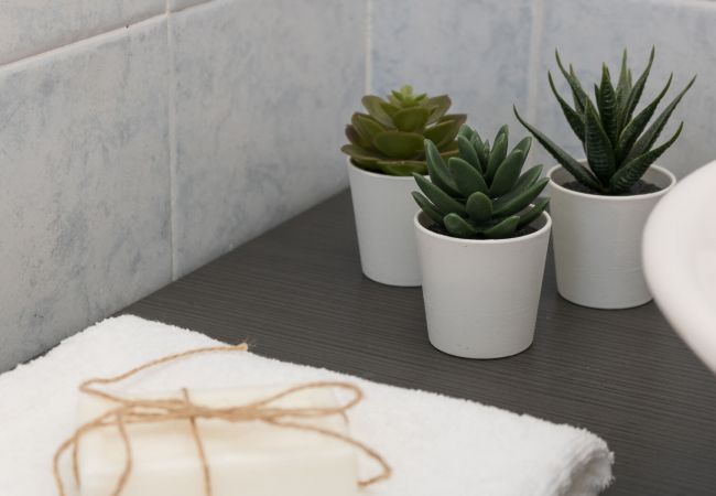 Ferienwohnung in Manerba del Garda - Il Professore: Wohnung direkt am Strand  Ferienwohnung in Manerba del Garda - Il Professore: Wohnung direkt am Strand