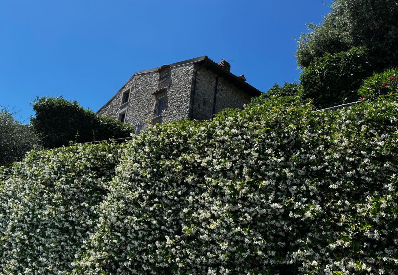Villa in Soiano del Lago - rustico Belvedere