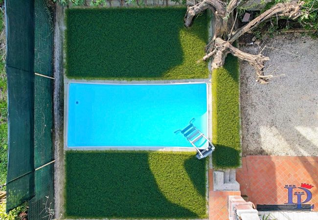 Villa in Desenzano del Garda - Desenzanoloft Villa Palm Garda Beach Villa in Desenzano del Garda - Desenzanoloft Villa Palm Garda Beach