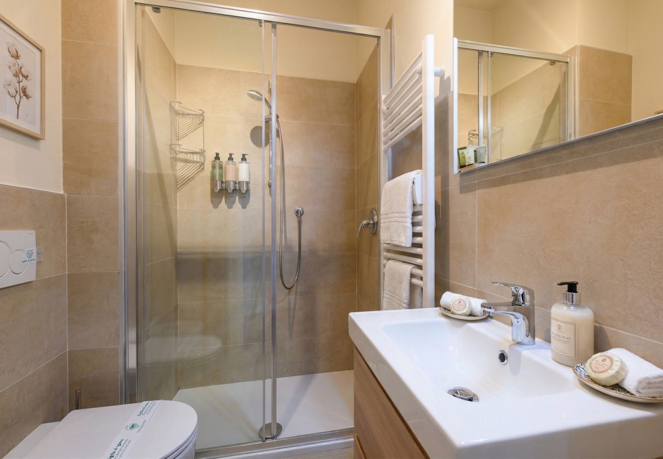 Apartment in Desenzano del Garda - Desenzanoloft L'attico di Jack