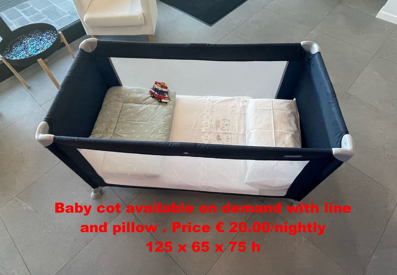 Apartment in Desenzano del Garda - DesenzanoLoft Ciao Lago 