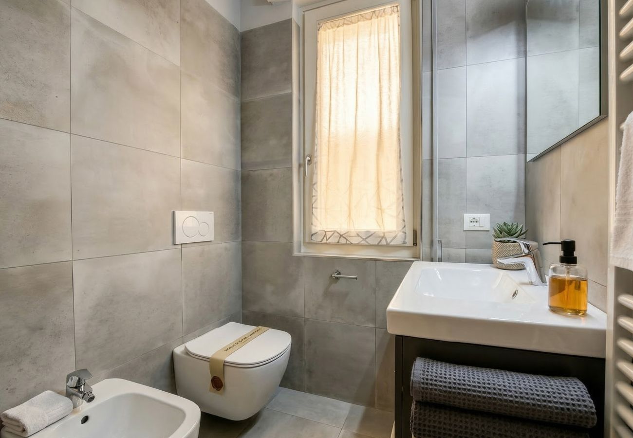 Apartment in Desenzano del Garda - DesenzanoLoft Bacco