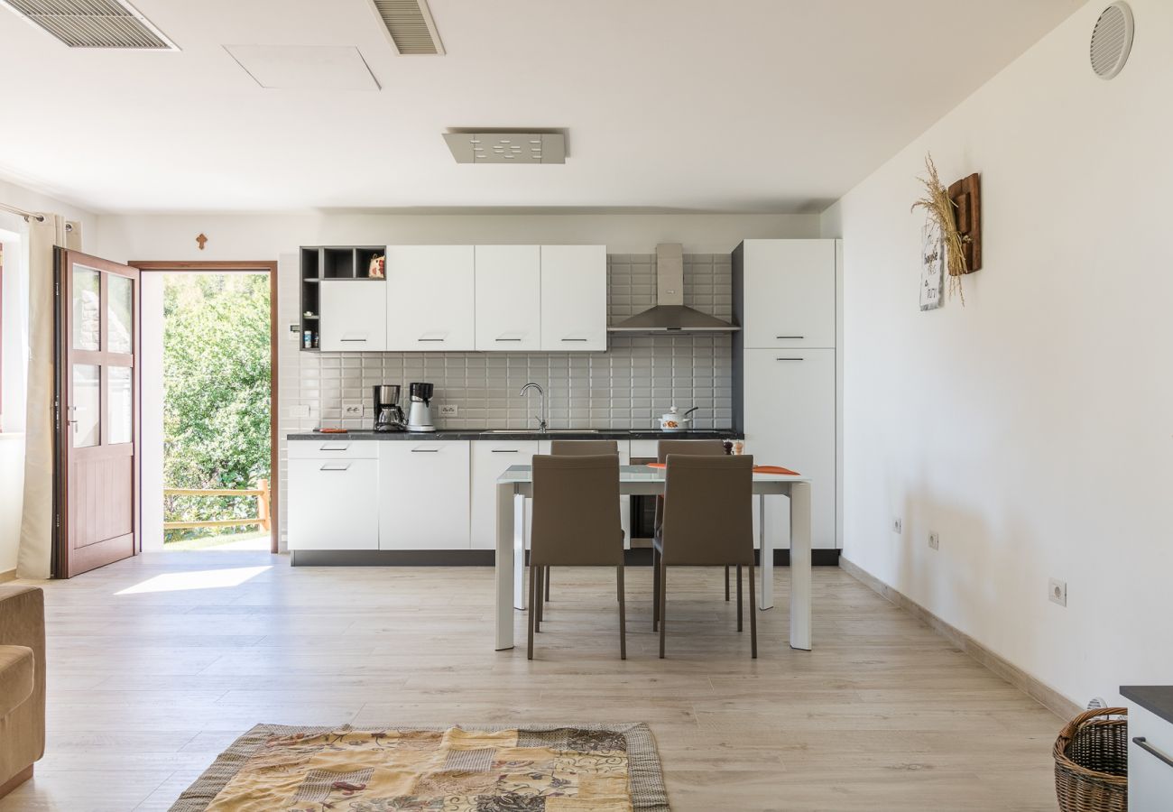 Dom w Tignale - Malga Mary: nel verde con piscina solo per voi ed i proprietari