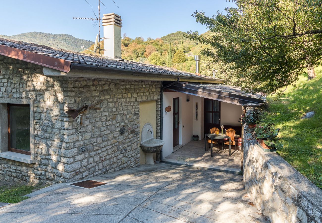 Dom w Tignale - Malga Mary: nel verde con piscina solo per voi ed i proprietari