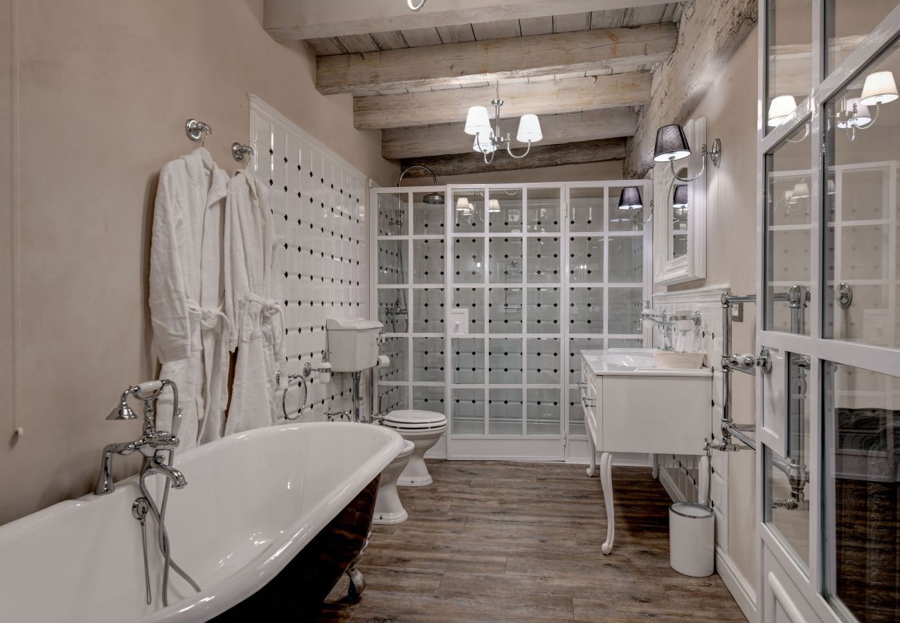 Apartament w Desenzano del Garda - DesenzanoLoft : La Vite Luxury Appartment 2 CIN IT017067C2HOLOZDF9 