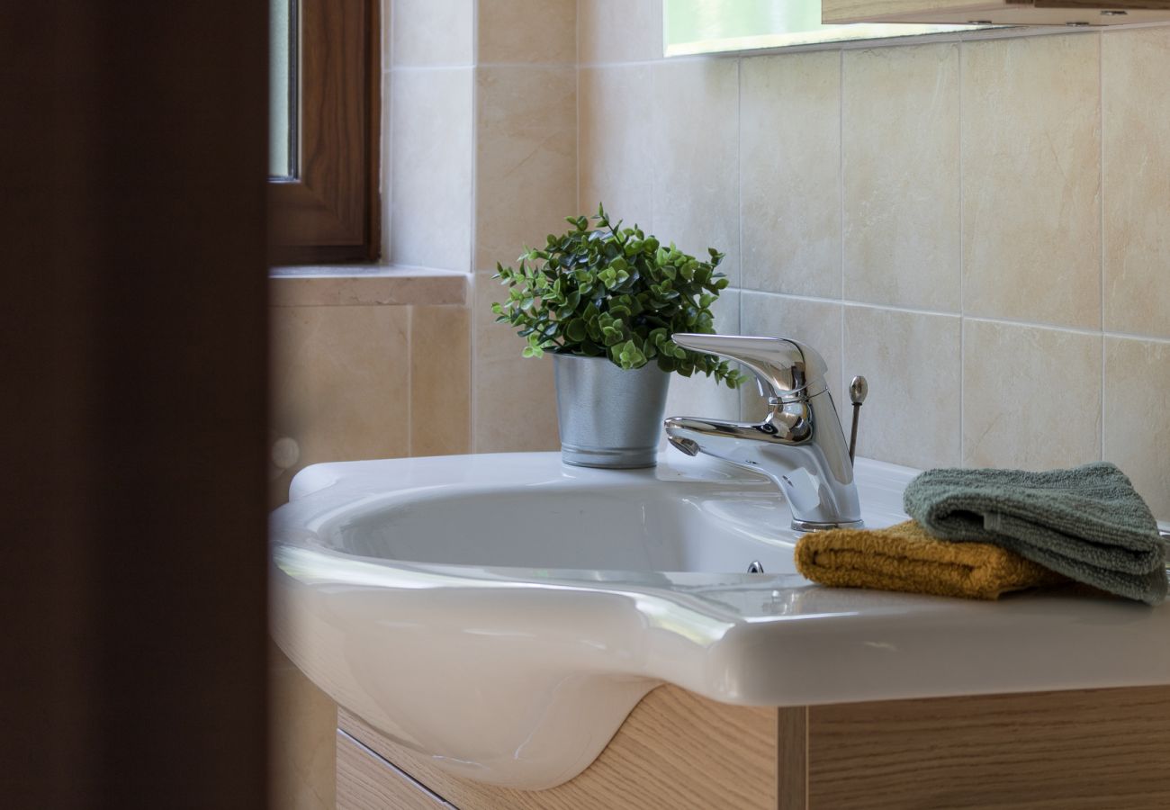 Dom w Tignale - Malga Mary: nel verde con piscina solo per voi ed i proprietari