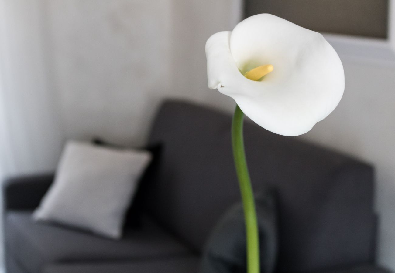 Apartament w Tignale - Rustico Minichèto - La Vigna: curato nei dettagli con balcone vista lago