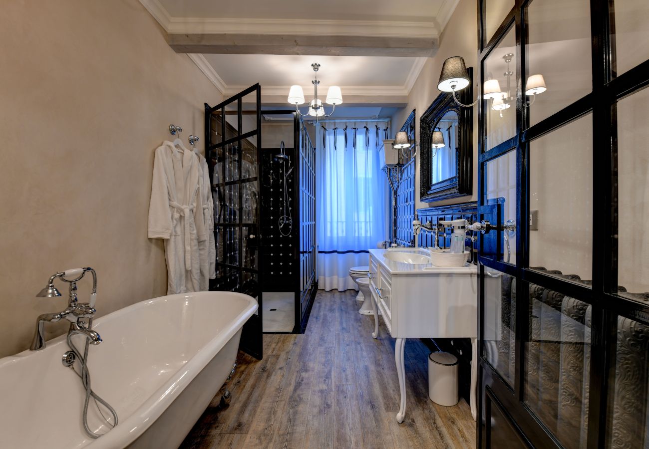 Apartament w Desenzano del Garda - DesenzanoLoft : La Vite Luxury Appartment 1 CIN IT017067C2HOLOZDF9