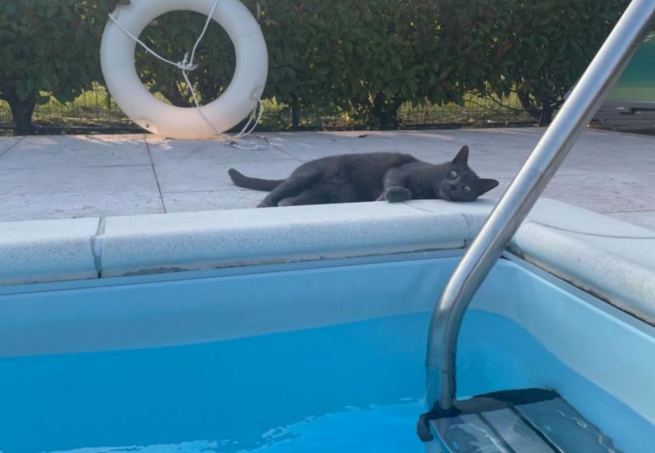 Apartament w Desenzano del Garda - Desenzanoloft Olimpia 