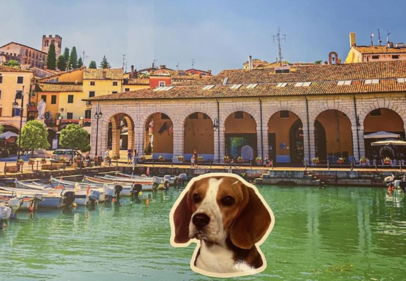 Apartament w Desenzano del Garda - Desenzanoloft Let it be a Dream Renovated 2025