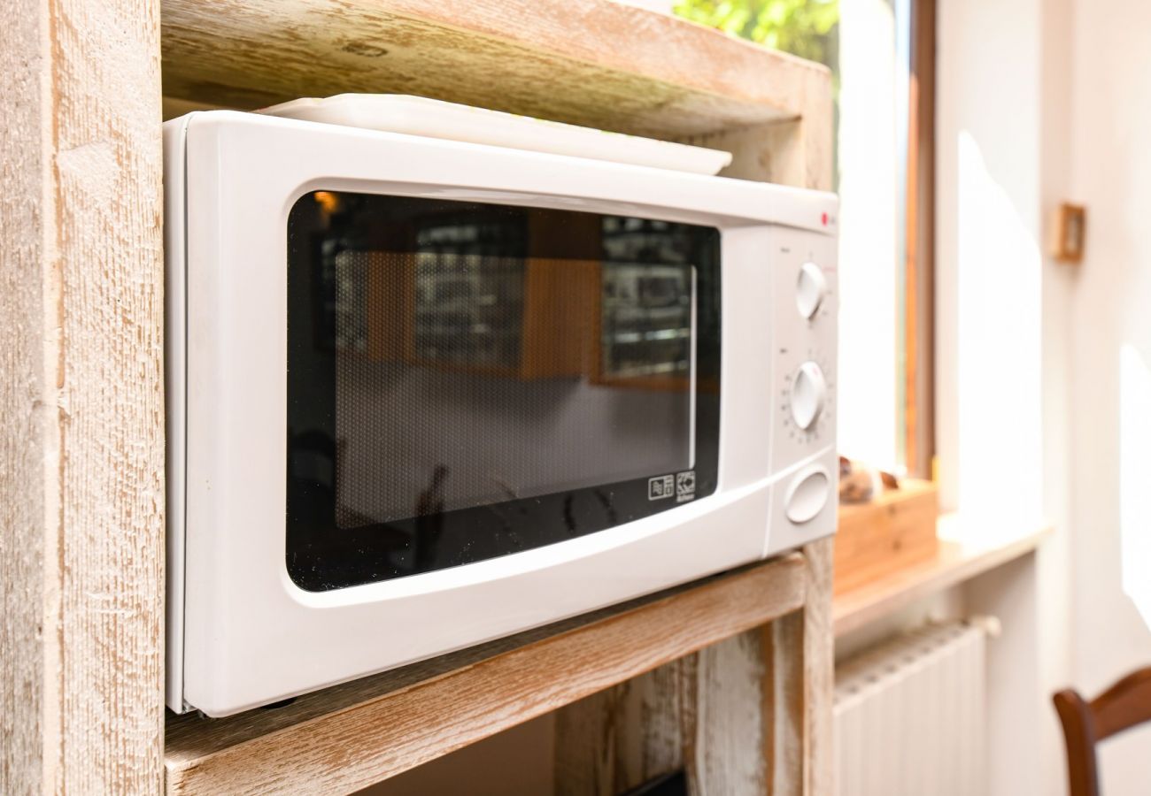 Dom w Tignale - Malga Mary: nel verde con piscina solo per voi ed i proprietari