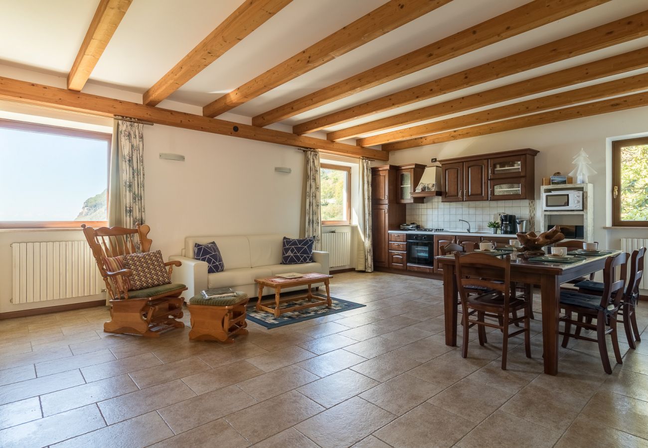 Dom w Tignale - Malga Mary: nel verde con piscina solo per voi ed i proprietari