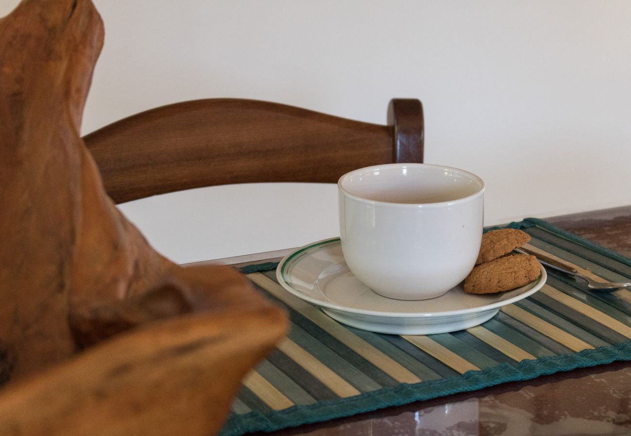 Dom w Tignale - Malga Mary: nel verde con piscina solo per voi ed i proprietari