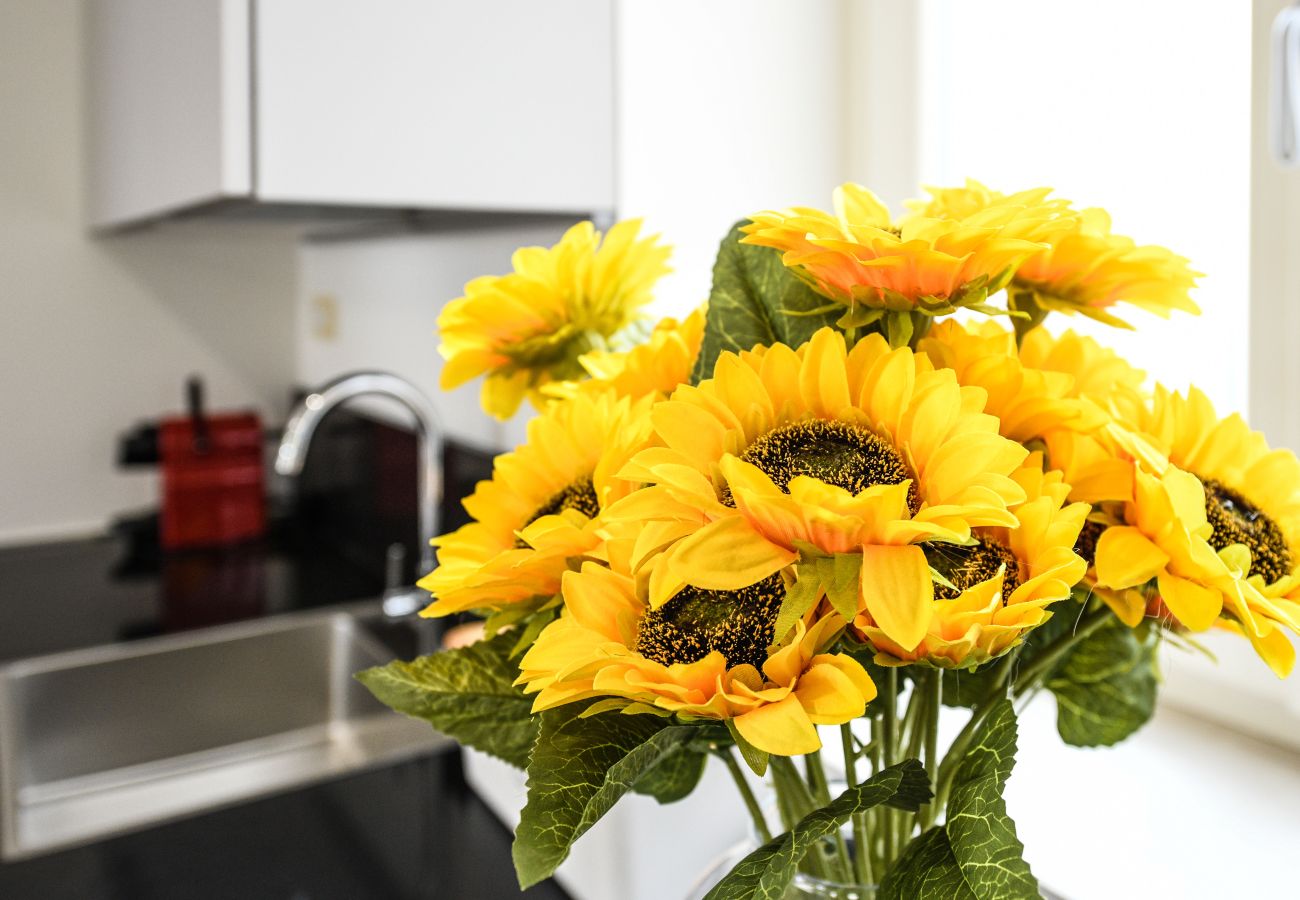 Apartament w Desenzano del Garda - Desenzanoloft Palazzo Visconti-Collo Lungo Giallo